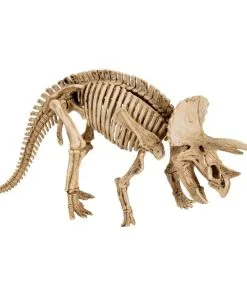 Kit De Fouilles Archéologiques Tyrannosaurus REX - Happy Fiesta Lyon -Promos Halloween Boutique kit de fouilles archeologiques 2