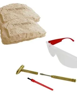 Fouilles Archéologiques Pack Bataille - Tyrannosaurus & Carnotaurus -Promos Halloween Boutique kit de fouilles archeologiques pack bataille tyrannosaurus carnotaurus 2