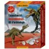 Kit De Fouilles Archéologiques Spinosaurus T-REX - Happy Fiesta Lyon