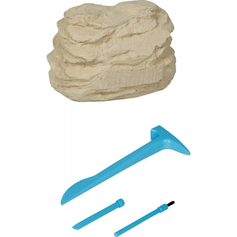 Kit De Fouilles Archéologiques Tyrannosaurus REX - Happy Fiesta Lyon 2 Kit De Fouilles Archéologiques Tyrannosaurus REX - Happy Fiesta Lyon – Image 2