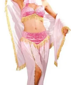 Déguisement Danseuse Orientale Sexy Femme