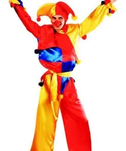 Déguisement Fou Du Roi