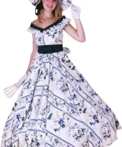 Déguisement Princesse Belle Du Sud