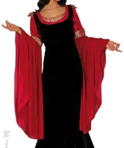 Déguisement Princesse Médiévale Velours