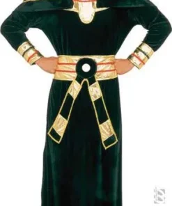 Déguisement Roi Egyptien