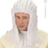 Perruque Juge Adulte