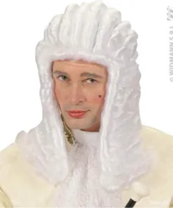 Perruque Juge Adulte