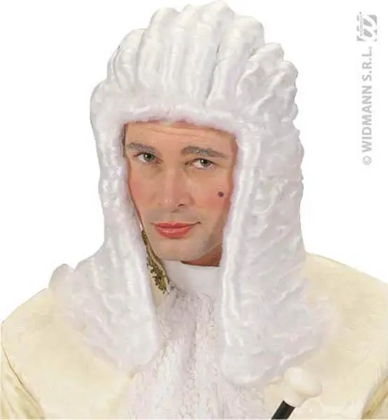 Perruque Juge Adulte 1 Perruque Juge Adulte